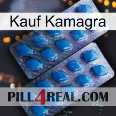 Purchase Kamagra viagra2